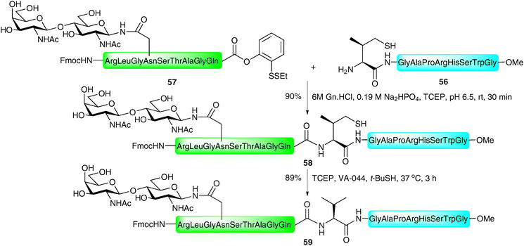 Synthesis of a model N-linked glycopeptide by NCL followed by desulfurisation at valine.98