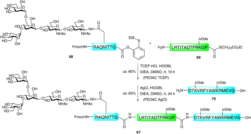Synthesis of a model N-linked glycopeptide via sequential phenolic ester directed amide coupling reactions (PEDAC TCEP followed by PEDAC AgCl).114