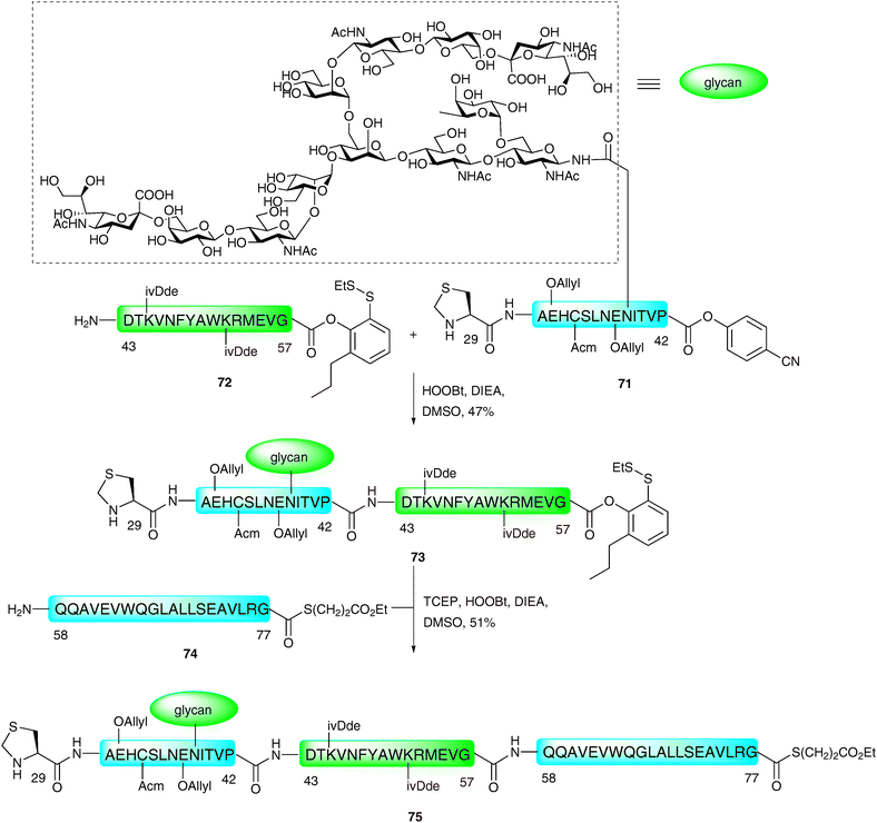 Synthesis of EPO (29–77) N-linked glycopeptide fragment by two sequential PEDAC ligations.115