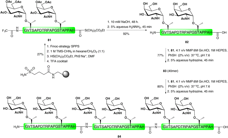 Synthesis of a 60 residue MUC1 glycopeptide via two sequential direct aminolysis ligation reactions.118