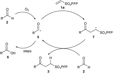 Postulated mechanism for hydroacylation.
