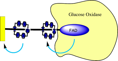 The shuttling motion of a CBPQT4+ ring can be applied as an electron transfer relay for a surface immobilized enzyme. In acting as an electron transfer mediator, the CBPQT4+ unit effectively lowers the overpotential required for electrocatalytic glucose oxidation.61