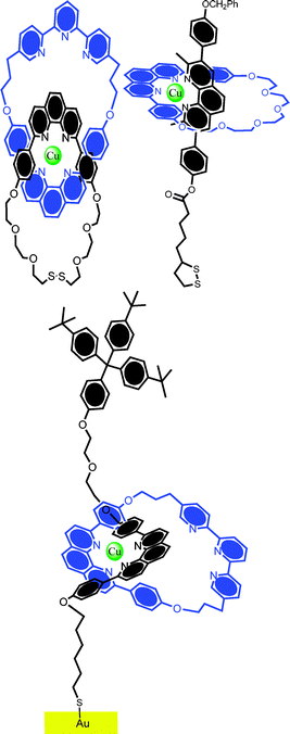 Examples of “Sauvage-type” catenanes and rotaxanes which have been immobilized on gold surfaces with good coverage and stability. (Top left) catenane; (top right) pseudorotaxane; and (bottom) surface bound rotaxane. Though the redox activity of the metal core is readily detectable, no evidence for triggered rotary or shuttling motion has been reported in these systems thus far.