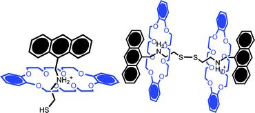 The pseudorotaxane and [3]rotaxane studied by Vance et al.39 The disulfide bond present in the latter is effectively cleaved on exposure to a gold electrode such that two independent (surface capped) chemisorbed rotaxanes are generated.
