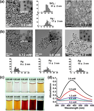 (a) TEM, HRTEM, and SEM images and histograms showing the size distribution of the silica nanospheres and Ag nanocrystals of Ag@SiO2. (b) TEM images and histograms showing the size distribution of Ag nanocrystals at various AgNO3 concentrations. (c) Photographs and (d) UV-Vis absorption spectra of aqueous suspensions containing Ag@SiO2 nanospheres (0.8 mg ml−1).