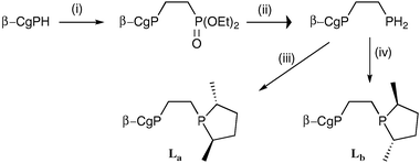 
          Reagents and conditions: (i) vinyl diethyl phosphonate; (ii) LiAlH4; (iii) 2 equiv. nBuLi followed by the cyclic sulfate of 2R,5R-2,5-pentanediol; (iv) 2 equiv. nBuLi followed by the cyclic sulfate of 2S,5S-2,5-pentanediol.