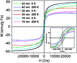 Magnetization (M) loops for 42 nm, 30 nm and 19 nm Fe3O4 NFs measured at 5 K and 250 K.