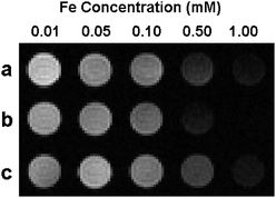 
          T
          2-weighted MR image of aqueous solutions of (a) 42 nm, (b) 30 nm and (c) 19 nm Fe3O4 NFs at various Fe concentrations (4.7 T, 25 °C).