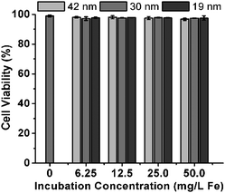 Cell viability of NIH/3T3 cells after 24 h incubation with 42 nm, 30 nm or 19 nm Fe3O4 NFs at various incubation iron concentrations.