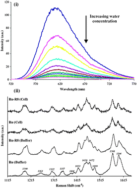 (i) The emission spectra of the free dye in an aerated acetonitrile solution with sequential addition of deionised water. (ii) The resonance Raman spectra of [Ru(dppz)2PIC-Arg8]10+ and [Ru(dppz)2PIC]2+ in PBS buffer and from within the cell (from resonance Raman mapping) after excitation at 458 nm.
