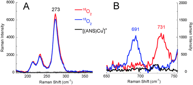 rR spectra of [{(ANS)CuII}2(μ-η2:η2-O22−)]2+ (1P) in acetone with 16O2 (red) and 18O2 isotopic substitution (blue) in the region of νCu–Cu (A) and νO–O (B) (λex = 379.5 nm, 77 K, 5 mW power).