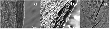 Edge-view SEM images of: (a) SGO paper; (b) SG paper, and TEM images of: (c) SG paper.