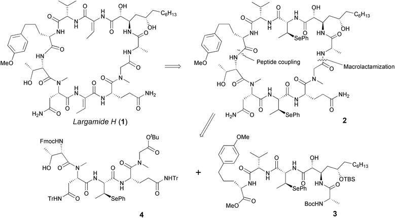 Structure and retrosynthetic analysis of Largamide H.