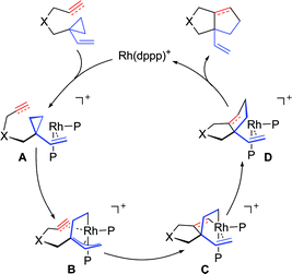 Plausible catalytic cycle of the [3 + 2] reaction.