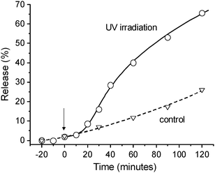 Release of green fluorescent protein (GFP) from the supramolecular hydrogel. From the time 0, the sample was placed under UV light. With a delay of 10 min, GFP was released from the hydrogel matrix.