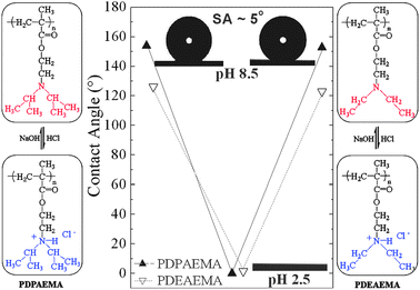 Contact angles and images of water droplets residing on the PDPAEMA functionalized hierarchically structured surface following immersion at pH 8.5, pH 2.5 (complete wetting) and again at pH 8.5 (). The CA values for the PDEAEMA functionalized surface at pH 10 and pH 3 are shown for comparison (). The schemes on the two sides show the protonation/deprotonation process of PDPAEMA and PDEAEMA.