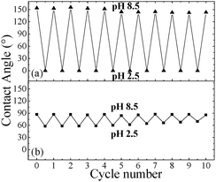 (a) Average CA values of water drops residing on the PDPAEMA functionalized hierarchically structured (a) and flat (b) surfaces following successive immersions at pH 8.5 and pH 2.5.