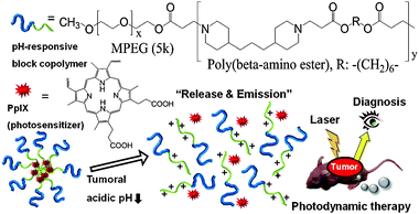 The micellization/demicellization transition of PpIX loaded tumoral pH-responsive micelles and in vivo simultaneous tumor diagnosis and photodynamic therapy by this system.