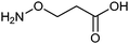 Structure of a β-aminoxy amino acid.