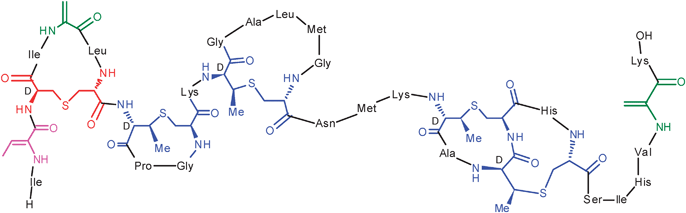 Structure of the lantibiotic nisin presented by van der Donk.