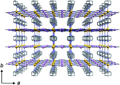 Projection of 3 onto the ac plane. Lattice water molecules are omitted. Atoms: Fe (orange), Pt (pink), N (light blue), C (gray).