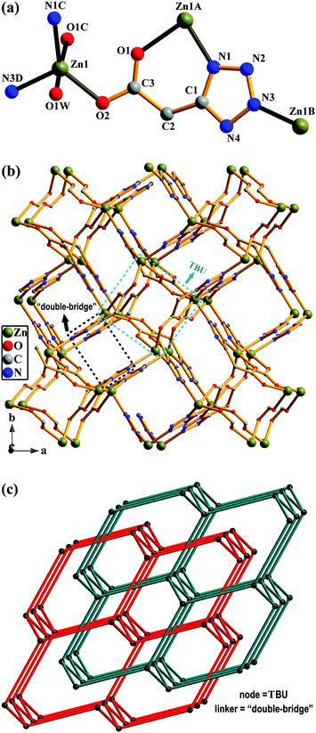 Polymer 1: (a) The coordination environment around the Zn atom and coordination mode of tza ligand. Symmetry codes are defined in Table S1. (b) A 3-D network constructed by the linkage of [Zn(COO)]4 cluster units as TBUs and tetrazolate groups as “double-bridges”. The H atoms and coordinated water molecules are omitted for clarity. (c) Two-fold interpenetrated 3-D diamond-like topology. The black balls represent the TBUs of [Zn(COO)]4 clusters and the lines represent the “double-bridges”.