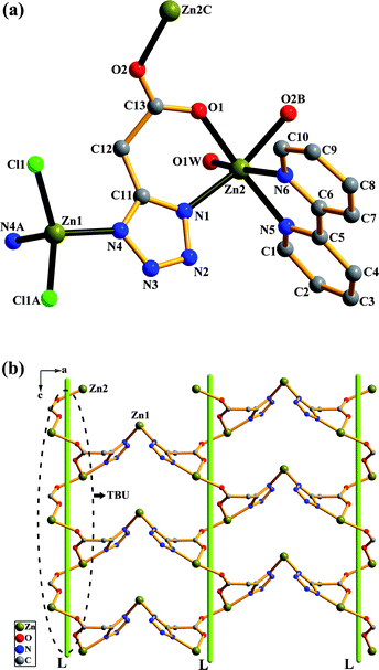 Polymer 2: (a) The coordination environment around the Zn atom and coordination mode of tza ligand. Symmetry codes are defined in Table S1. (b) View of the left-handed helical chains extending along the c axis and the 2-D sheet network. The Cl atoms, 2, 2′-bipy and coordinated water molecules are omitted for clarity.