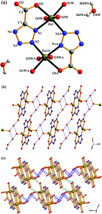 Complex 4: (a) molecular structure of 4. Symmetry codes are defined in Table S1. (b) A perspective view of a 2-D supramolecular architecture in 4via O4W⋯O1 and O4W⋯O2W hydrogen bonds. (c) Schematic representation of 2-D → 3-D supramolecular architecture via O1W⋯O1 hydrogen bonds in 4.