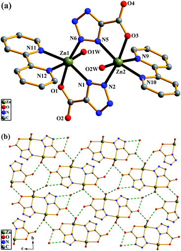 Complex 5: (a) molecular structure of 5 with lattice water molecules omitted for clarity. (b) A perspective view of a 2-D supramolecular network formed by hydrogen bonds in 5.