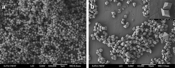 SEM images of the products obtained with 7 M NaNO3 for 20 h at different reaction temperatures: (a) α-NaYF4, 60 °C; (b) YF3, 100 °C.
