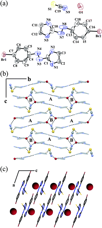 (a) ORTEP plot (50% probability ellipsoids) of salt 1; (b) alternating parallelogram A and B when viewed along the a axis and (c) linear water chain along the c axis.