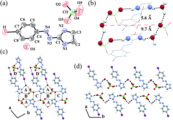 (a) ORTEP plot (50% probability ellipsoids) of salt 3; (b) the annulus structure of 3 formed via ionic hydrogen bonds; (c) repeat of the hydrogen bonded ring DABA tetrad along the a axis and BC diad along the b axis and (d) water–ClO4− -LH+ one-dimensional chain along the b axis.