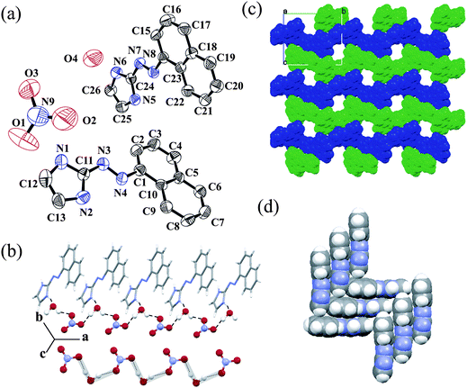 (a) ORTEP plot (50% probability ellipsoids) of salt 5; (b) 1D hydrogen bonded water–nitrate chain; (c) alternate zigzag chain of two asymmetric L3 with a 1D channel along the a axis and (d) π stacking interactions between L3.