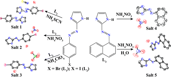 Aryl azo imidazole assisted anion/anion–water containing aryl azo imiazolium salts.