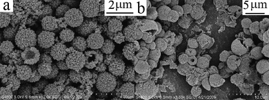 SEM images of the as-prepared FeMoO4 at different reaction temperatures: (a) 160 °C and (b) 130 °C.