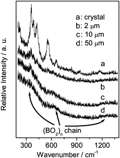 Raman spectra recorded from different positions near the BIBO crystal–melt interface. (Position a: in the crystal, 5 µm from the interface; Positions b, c and d: in the melt, 2, 10 and 50 µm from the interface, respectively.)