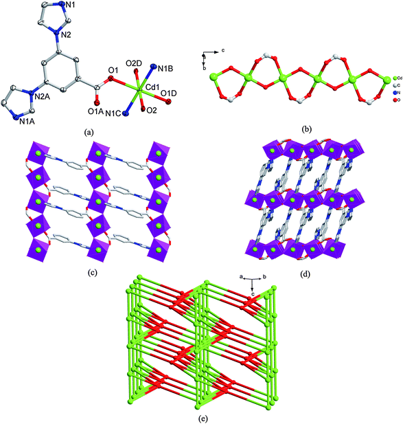 (a) The coordination environment of Cd(II) atom in 2 with the ellipsoids drawn at the 30% probability level. The hydrogen atoms and water molecule are omitted for clarity. Symmetry code: A 2 − x, y, 1/2 − z, B −x + 5/2, −y + 3/2, −z, C x − 1/2, y − 1/2, z, D −x + 2, −y + 1, −z. (b) An infinite 1D chain structure formed by µ2-O of hydroxyl and µ2-η1 : η1-bridging mode of the carboxylate group in 2. (c) A view of infinite 2D network in 2. (d) 3D structure of 2. (e) Schematic illustrating topology of the binodal (4,6)-connected net of 2. Red balls: the centroid of L− ligands; Green balls: Cd(II) atoms.