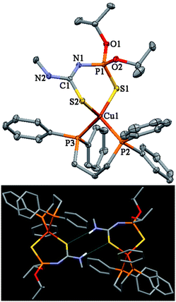 Thermal ellipsoid representation and hydrogen bonded dimer of 21. Ellipsoids are drawn at the 30% probability level.