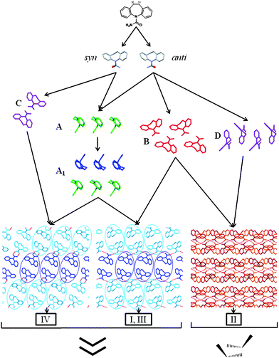 Tree diagram illustrating the similarity relationships between DHC I, II, III and IV. From top to bottom: DHC and the syn- and anti-conformers; SC A, a 1D stack; 1D SC A1 composed of two inversion related A stacks (A1 comprises anti-conformers in I and III and syn-conformers in IV); SC B, a 1D catemeric arrangement. A, A1 and B are each viewed perpendicular to the SC translation vector. Motifs C, a 0D dimer, and D, an offset 1D stack are observed only in forms IV and II, respectively. The packing diagrams for I, III and IV are viewed parallel to the A1 translation vector and the blue ovals highlight the different relative orientations of the A1 stacks in the catemeric (I, III) and dimeric (IV) structures. The diagrams at the base of the figure illustrate which of the two principle 1D stacking arrangements are observed in the structures (i.e. A1 in I, III and IV and D in II).