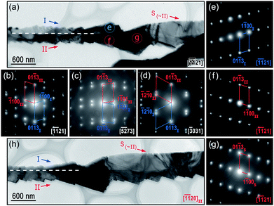 BF images viewed along (a) [1̄1̄21] and (h) [1̄1̄20] directions showing the direction transformation between single- and bi-crystal nanobelt. Corresponding SAED patterns from the bi-crystal region projected along (b) [1̄1̄21], (c) [5̄2̄73] and (d) [3̄031] axes, indicating the {011̄3} twinning relation. SAED patterns taken from the region (e) e, (f) f and (g) g in (a) without any further tilting revealing nanobelt S and nanoblade II have the same crystallographic relations.