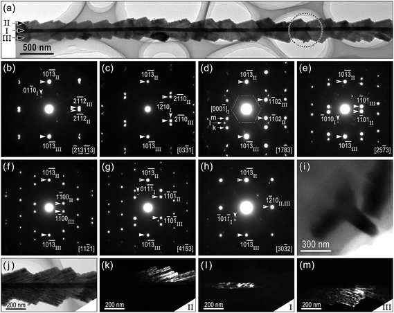 (a) BF image and corresponding SAED patterns of a representative tri-crystal nanobelt projected along (b) , (c) [033̄1], (d) [178̄3], (e) [257̄3], (f) [112̄1], (g) [415̄3] and (h) [303̄2] axes, respectively. The selected areas are marked by a dashed circle in (a). (i) BF image of another tri-crystal nanobelt from the embedded TEM sample projected along ∼[33̄01]. (j) BF image and corresponding DF images using (k) (2̄111)II, (l) (2̄110)I and (m) (1̄102̄)III beams (indicated by arrowheads k, l, m in (d)) as illuminating sources.