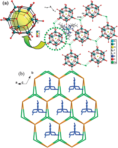 (a) View down the c axis of the 2-D hydrogen-bonded host supramolecular framework constructed from POVs and lattice water molecules with the honeycomb cellular structure filled by the template [Ni(enMe)3]2+ cations. (b) Schematic representation of the (3,6)-connected supramolecuar topological network with the Schläfli symbol (43·612)(43)2 of 2 (three-connected nodes (lattice water is depicted in green and six-connected nodes POVs is golden yellow.).