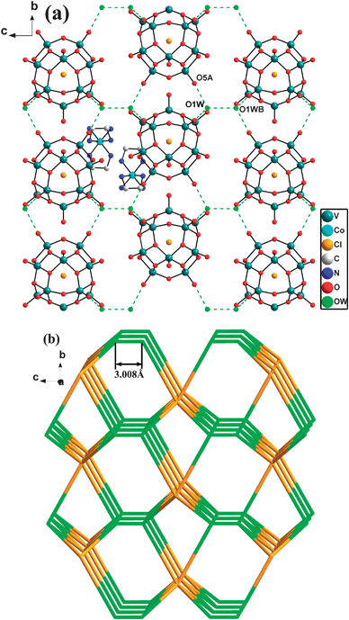 (a) View down the c axis of the 3-D supramolecular network of 3. Symmetry codes: (A) 1 − x, 1 − y, 1/2 − z, (B) x − y, −y, 1 − z. (b) Schematic representation of the (4,6)-connected supramolecular topological network with the Schläfli symbol (43·612)(43·63)2 of 3 (three-connected nodes (lattice water is depicted in green and six-connected nodes POVs is golden yellow).