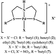 General structure of [PdX(SNS)]+ complexes 1–7.