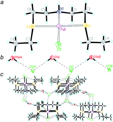 (a) A perspective view of the cationic structure of 3 ignoring the uncoordinated anion and water solvate (thermal ellipsoids at 30% level). (Pd: purple; S: yellow; N: dark blue; Cl: green; H: sky blue) Selected bond distances [Å] and angles [°]: Pd1–S1 2.3058(5); Pd1–S2 2.2954(5); Pd1–N1 2.031(2); Pd1–Cl1 2.2949(5); N1–Pd1–Cl1 179.27(5); N1–Pd1–S2 87.31(5); Cl1–Pd1–S2 91.98(2); N1–Pd1–S1 87.33(5); Cl1–Pd1–S1 93.37(2); S2–Pd1–S1 174.36(2). Pd1 is 0.0196 Å deviated from the least-squares plane of the donor ligands (S1, S2, N1, Cl1). (b) A zigzag and alternating H-bonding interactions in a water–chloride blend of 3 at 293 K. (Symmetry codes: A, 1 + x, y, z; B, x − 1, y, z) (c) A lattice view along the a direction of the supramolecular network showing the cation, anion and lattice water interconnected through H-bond.