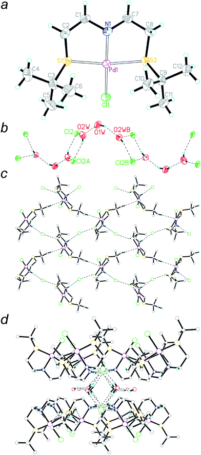 (a) A perspective view of the cationic structure of 4 ignoring the anion and water solvate (thermal ellipsoids at the 30% level). (Pd: purple; S: yellow; N: dark blue; Cl: green; H: sky blue.) Selected bond distances [Å] and angles [°]: Pd1–S1 2.3135(6); Pd1–S2 2.3199(6); Pd1–N1 2.035(2); Pd1–Cl1 2.2954(7); N1–Pd1–Cl1 176.44(6); N1–Pd1–S1 86.25(6); Cl1–Pd1–S1 94.54(2); N1–Pd1–S2 86.20(6); Cl1–Pd1–S2 92.77(2); S1–Pd1–S2 171.58(2). Pd1 deviates −0.0724 Å from the least-squares plane of the donor ligands (S1, S2, N1, Cl1). (b) The H-bonding interactions in a wave-like water trimer–chloride structure of 4 at 296 K. (Symmetry codes: A, 1 − x, 1 − y, 1 − z; B, 1 − x, y, 1.5 − z). (c) Rhomboid-like H-bonding network among the cations and anions. (d) A perspective view showing the water–chloride cluster-blends sandwiched by the cations.