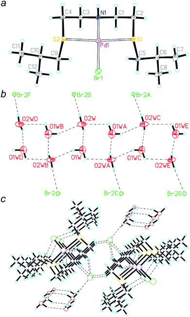 (a) A perspective view of the cationic structure of 6 ignoring the water solvate (thermal ellipsoids at 30% level). (Pd: purple; S: yellow; N: dark blue; Br: green; O: red; H: sky blue.) Selected bond distances [Å] and angles [°]: Pd1–S1 2.302(1); Pd1–S2 2.306(1); Pd1–N1 2.040(3); Pd1–Br1 2.4208(5); N1–Pd1–Br1 179.6(1); N1–Pd1–S1 86.9(1); Br1–Pd1–S1 93.29(3); N1–Pd1–S2 86.9(1); Br1–Pd1–S2 92.87(3); S1–Pd1–S2 173.83(4). Pd1 deviated −0.0011 Å from the least-squares plane of the donor ligands (S1, S2, N1, Br1). (b) Interconnection of the water tetramer into a step-like structure supplemented by H-bonding with bromide ions at 100 K. (c) Water-bromide blends sandwiched by the cations.