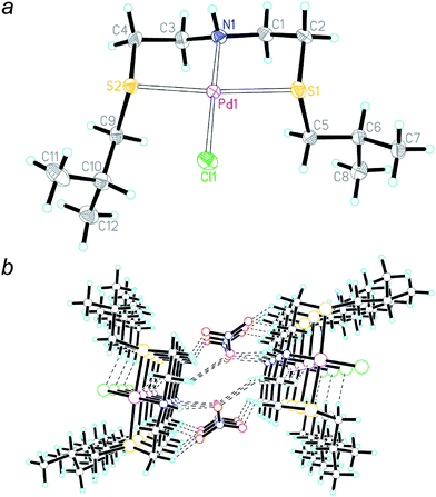 (a) A perspective view of the cationic structure of 7 ignoring the anion (thermal ellipsoids at 30% level). (Pd: purple; S: yellow; N: dark blue; Cl: green; O: red; H: sky blue) Selected bond distances [Å] and angles [°]: Pd1–S1 2.301(1); Pd1–S2 2.304(1); Pd1–N1 2.022(4); Pd1–Cl1 2.303(1); N1–Pd1–S1 87.1(1); N1–Pd1–Cl1 179.4(1); S1–Pd1–Cl1 92.29(5); N1–Pd1–S2 86.1(1); S1–Pd1–S2 173.26(4); Cl1–Pd1–S2 94.45(4). Pd1 deviated 0.0039 Å from the least-squares plane of the donor ligands (S1, S2, N1, Cl1). (b) A lattice view along the a direction showing H-bonding between the anions and cations without lattice hydrate.