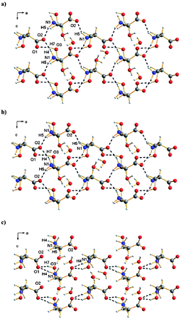 View along the crystallographic b-axis of l-serine monohydrate (a) at ambient pressure,16 (b) at 3.8 GPa and l-serine monohydrate-II (c) at 5.8 GPa.
