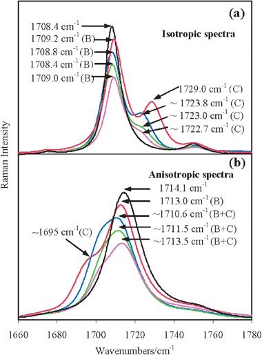 Collective views of the (a) isotropic and (b) anisotropic spectra of neat acetone (black line), acetone/Mg(ClO4)2 (red line, xsalt = 0.045), acetone/Ca(ClO4)2 (blue line, xsalt = 0.05), acetone/Sr(ClO4)2 (green line, xsalt = 0.02) and acetone/Ba(ClO4)2 (magenta line, xsalt = 0.01) solutions in the ν(CO) mode region. The heights of the isotropic (a) and anisotropic (b) spectra are normalized to unity and, for a better graphical clarity, scaled by 0.9 (red lines), 0.8 (blue lines), 0.7 (green lines) and 0.6 (magenta lines). The isotropic Raman spectra of all the solutions shown in panel (a) have the main ν(12CO) components (denoted as B) approximately at the same frequency as in neat acetone, while the shoulders (denoted as C) are located on the higher frequency side and are appreciably separated in frequency from the main ν(CO) features. In the anisotropic spectra shown in panel (b), each main component B and the corresponding lower frequency shoulder are significantly overlapped and thus collectively referred to as B+C.
